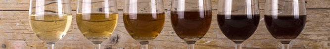 Vins