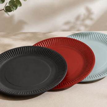 20 Assiettes assortiments de couleurs