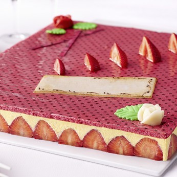 Fraisier - 15 parts