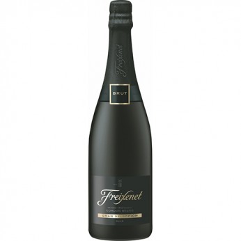 Vin pétillant Cordon Negro brut Freixenet