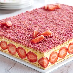 Fraisier - 30 parts