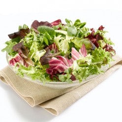 Salade composée