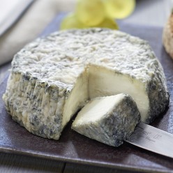 Selles sur Cher fermier