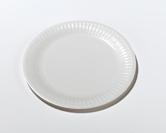 50 assiettes blanches en carton - 18cm