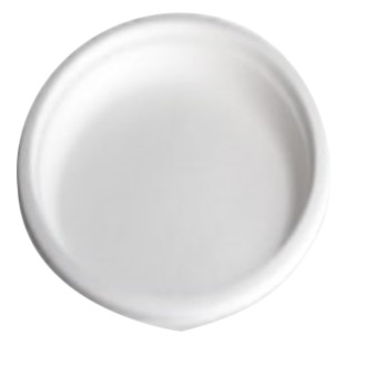 10 assiettes pulpes - 23cm