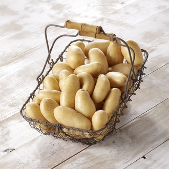 Pommes de terre blanches