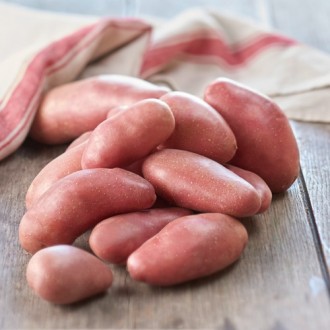Pommes de terre rouges