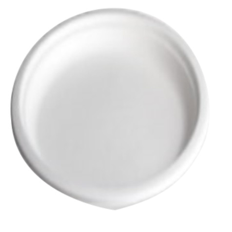 10 assiettes pulpes - 23cm