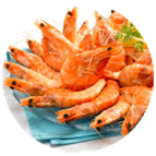 Crevettes roses cuites 30/50