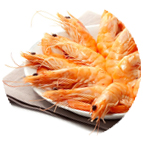 Crevettes roses cuites 30/50