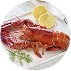 Homard américain cuit