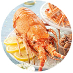 Langouste cuite