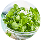 Salades Vertes